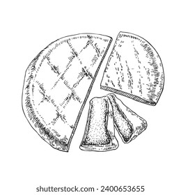 Hand drawn vector cheese illustration. Brie milk cheese image. Dairy design template