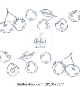 Hand drawn vector cherry berries image. Summer fruit engraved style illustration. Vegetarian dessert fresh food. Design for label, print