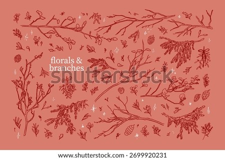 Hand Drawn vector Christmas, winter and autumn forest outline plant elements. Stylish realistic minimalistic botanical nature sketches coniferous tree branches. Holiday season leaves plants cones.