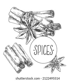 Hand drawn vector cinnamon and anise star illustration. Spice and herbs image for design, menu, ad