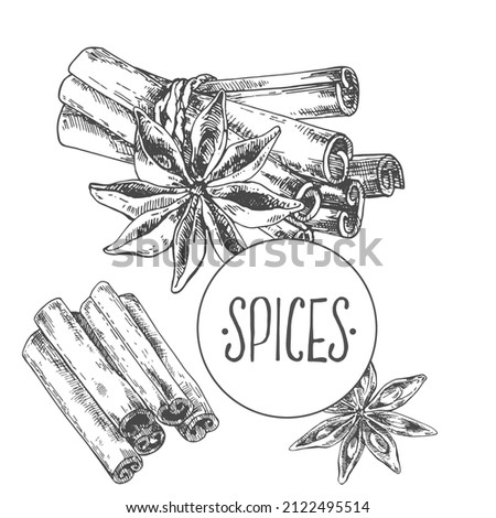 Hand drawn vector cinnamon and anise star illustration. Spice and herbs image for design, menu, ad