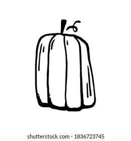 Hand drawn vector clip art of pumpkin. Coloring book page for Halloween. Coloring page. Black and White Cartoon Illustration.