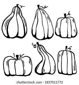 Dibujo manual del clip vectorial de la calabaza. Página del libro de coloreado para Halloween. Colorido de la página. Ilustración de dibujos animados en blanco y negro.