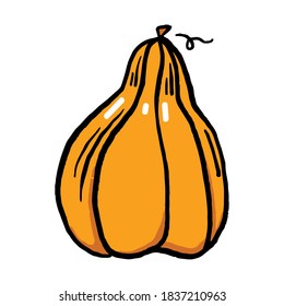 Hand drawn vector clip art of pumpkin. 