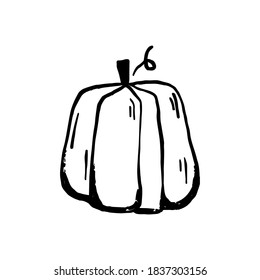 Hand drawn vector clip art of pumpkin. Coloring book page for Halloween. Coloring page. Black and White Cartoon Illustration.