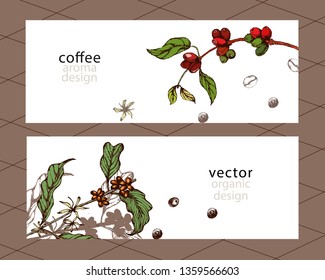 Hand drawn vector coffee banner. Coffee beans, leaves, branch, flowers