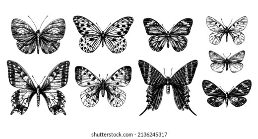 Hand drawn vector collection of butterflies. Insects with different wings, butterflies silhouettes, black and white engraving style illustration.