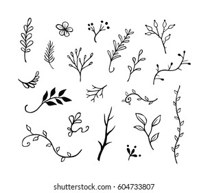 Hand drawn vector collection of floral decorative elements