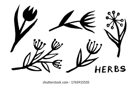 Hand drawn vector collection of herbs. Doodle floral element. Spring and summer symbol. Contour otline drawing of simple black twigs and flowers