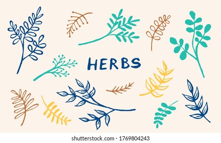 Hand drawn vector collection of herbs. Doodle floral element. Spring and summer symbol. Contour otline drawing of simple colorful twigs and flowers