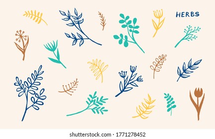 Hand drawn vector collection of herbs. Doodle floral element. Spring and summer symbol. Contour otline drawing of simple colorful twigs and flowers