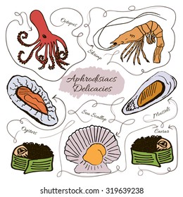 Hand drawn vector collection of seafood aphrodisiacs on white background