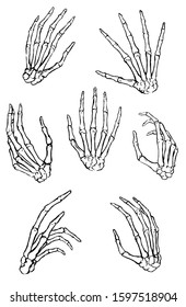 Hand drawn vector collection. Set of human bone hands in different gestures. Black contour anatomical sketches isolated on white. Engraving style. Elements for design print, halloween card, typography