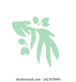Hand drawn vector color illustration of olive branch with green olives on a white background isolated. Symbol for olive oil bottle label  Italian, Mediterranean, Greek or Spanish cuisinecard, card