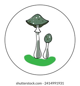 Hand drawn vector color illustration in cartoon style. Linear drawing of colored toadstools in a circle on a white background.