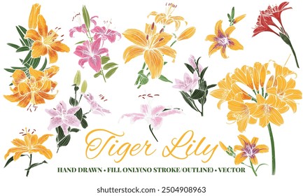 Hand drawn vector colored tiger lilies. Summer flowers drawn with fills only ( no stroke or outlines) with warm colors such as orange, pink, red and green. Easy to edit, assets in different groups.