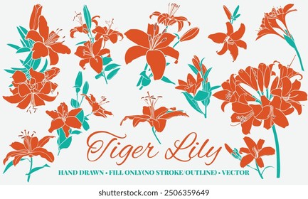 Lirios tigre de color Vector dibujados a mano. Flores de verano dibujadas solo con rellenos (sin trazo ni contornos) en naranja sangre y verde fresco. Fácil de editar, activos en diferentes grupos.