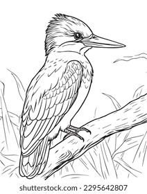 Página de coloreado vector dibujado a mano de kingfisher, pájaro zumbido. Página de colorear para niños y adultos. Diseño de impresión, diseño de camisetas, diseño de tatuajes, arte mural, arte de línea.