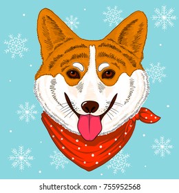 Hand drawn vector corgy dog wearing bandana