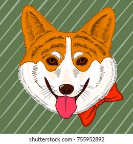 Hand drawn vector corgy dog wearing bowtie