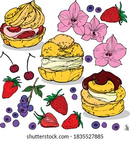 Hand drawn vector cream puffs pastry with different fillings and berries