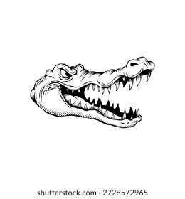 ilustração de cabeça de crocodilo de vetor desenhado à mão