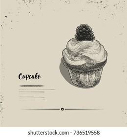 Hand drawn. vector Cupcake illustration. Sketch vintage style. Design template. 