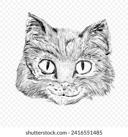 Hand drawn vector curios smiling  cat’s muzzle isolated on transparent background.