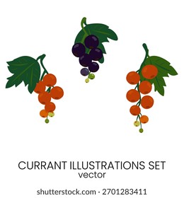 Hand drawn vector currant branch clipart.
