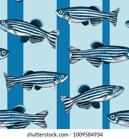 Hand drawn vector danio rerio fish seamless pattern