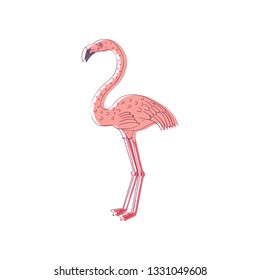 Hand drawn vector design of beautiful pink flamingo. Exotic bird with long neck and legs. Wild creature