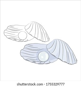 Hand drawn vector design elements of sea shell. Simple sketchy oceanic shell for wrap, fabric, paper design.