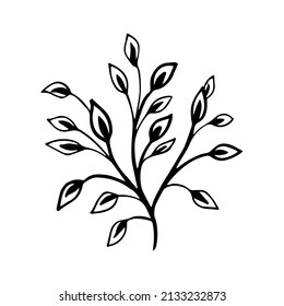 Hand drawn vector design floral elements