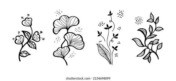 Handgezeichnete Vektordesign-Blumenelemente