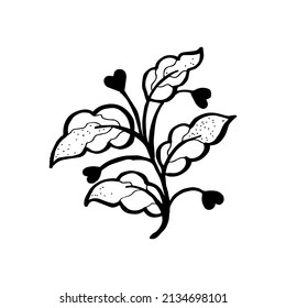 Handgezeichnete Vektordesign-Blumenelemente