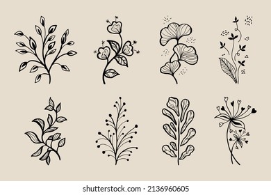 Hand drawn vector design floral elements