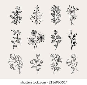 Elementos florales de diseño de vector dibujados a mano