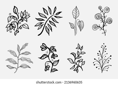 Hand drawn vector design floral elements