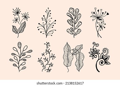 Elementos florales de diseño vectorial dibujados a mano.