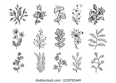 Elementos florales de diseño de vector dibujados a mano