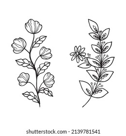 Elementos florales de diseño de vector dibujados a mano