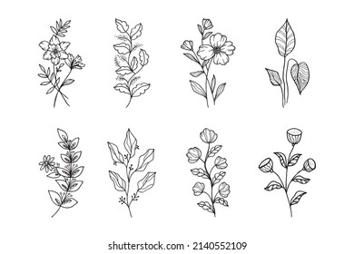 Hand drawn vector design floral elements