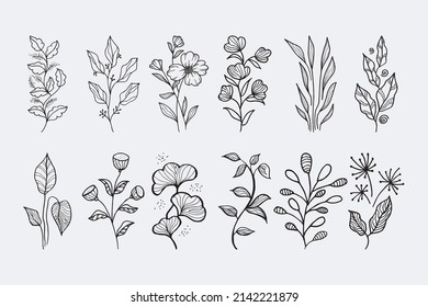 Hand drawn vector design floral elements