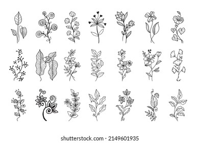 Hand drawn vector design floral elements. Vector illustration.