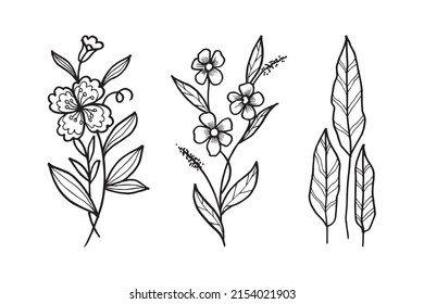 Hand drawn vector design floral elements. Vector illustration.