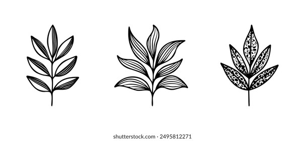 Hand drawn vector design floral elements