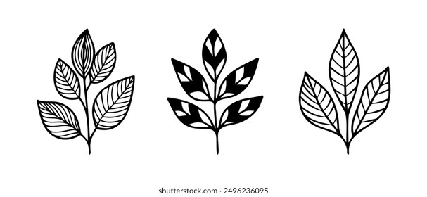 Hand drawn vector design floral elements