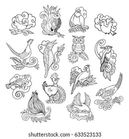 Hand drawn vector different birds set