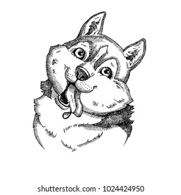 Hand drawn vector dog. Husky head isolated on white