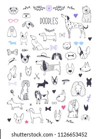 Hand drawn vector dog sketches and Doodles.